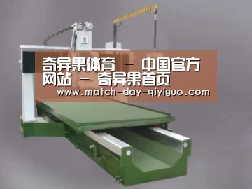 产品名称十
