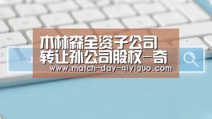 木林森全资子公司转让孙公司股权-奇异果体育平台入口(图3) 奇异果体育平台入口