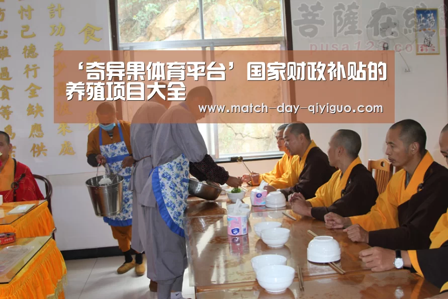 奇异果体育平台入口