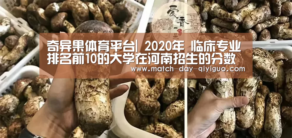 奇异果体育平台|
2020年 临床专业排名前10的大学在河南招生的分数及位次(图3) 奇异果体育平台