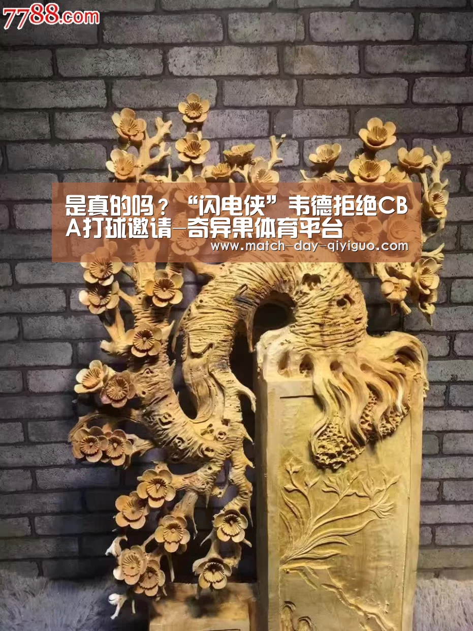 是真的吗?“闪电侠”韦德拒绝CBA打球邀请-奇异果体育平台(图1) 奇异果体育平台
