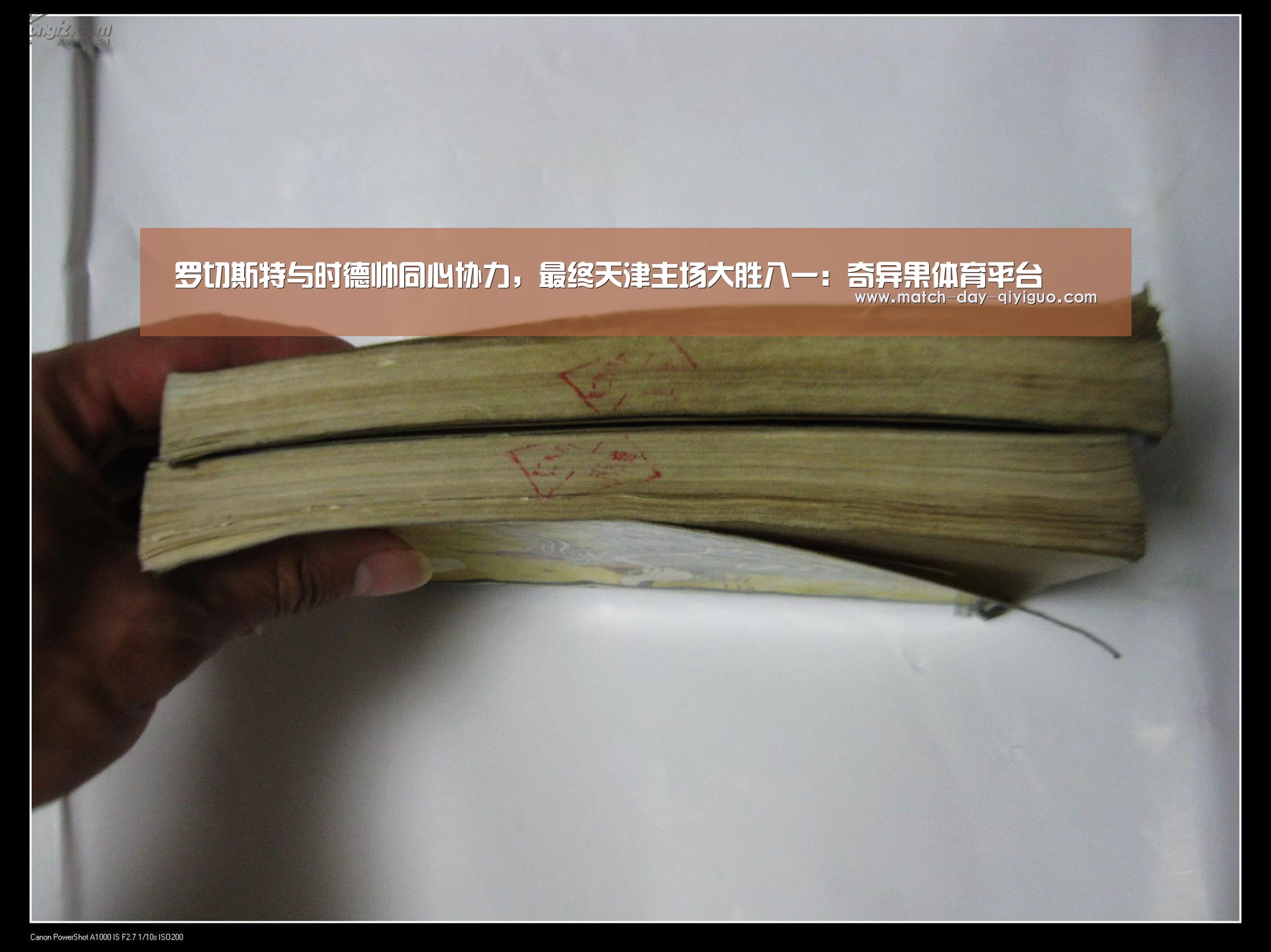 奇异果体育平台