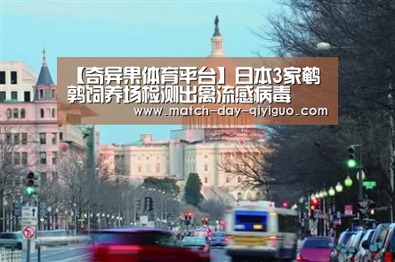 奇异果体育平台