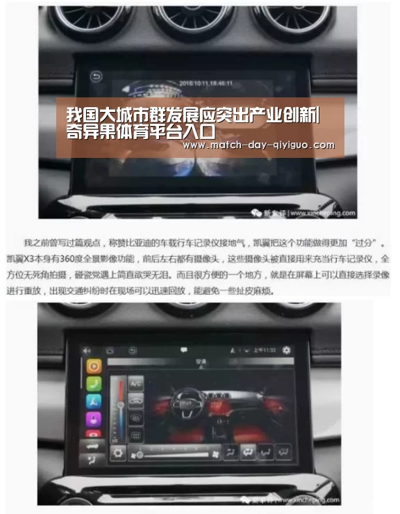 我国大城市群发展应突出产业创新|奇异果体育平台入口(图2) 奇异果体育平台入口