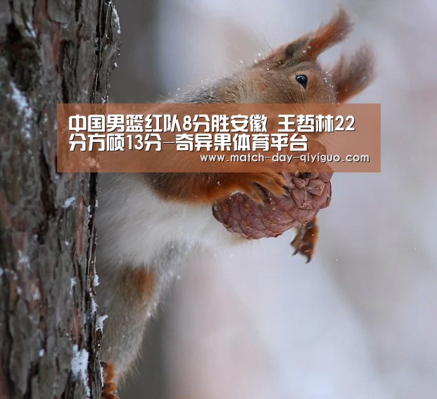 奇异果体育平台